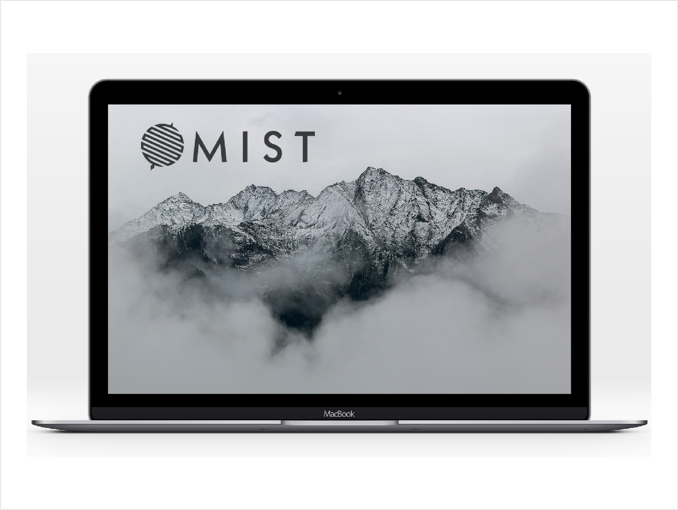 MIST Website Mock-up